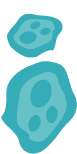 imuno