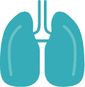 lung