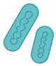 mitochondial