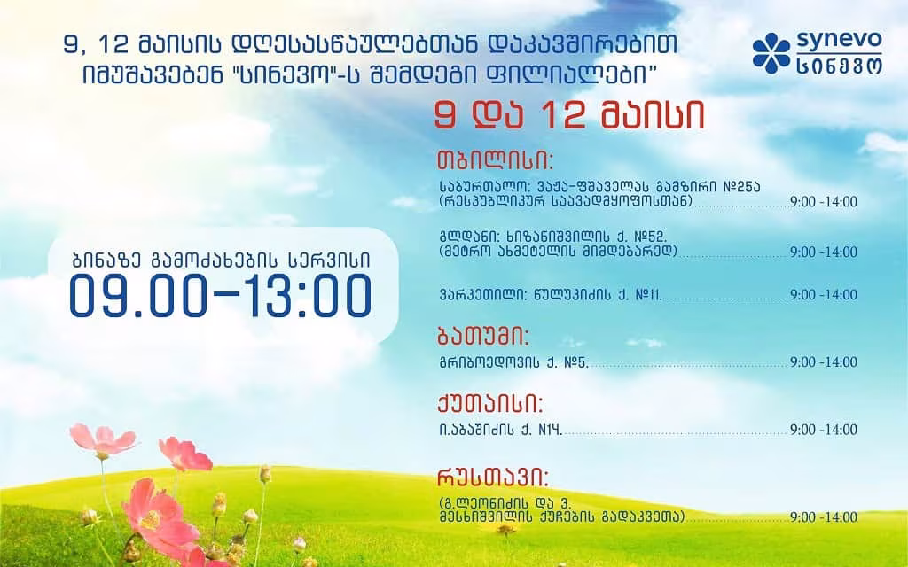 12maisi