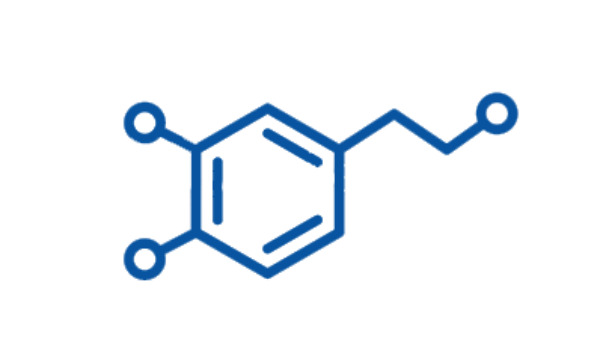 Sex Hormone Inhibitory Globulin (SHBG) | Synevo