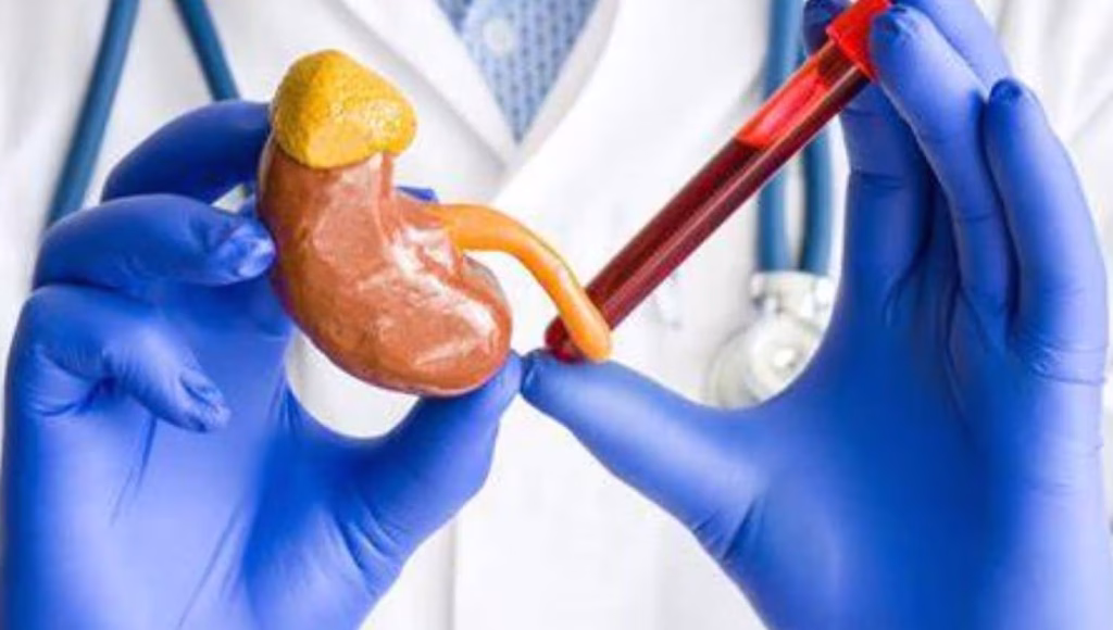 creatinine