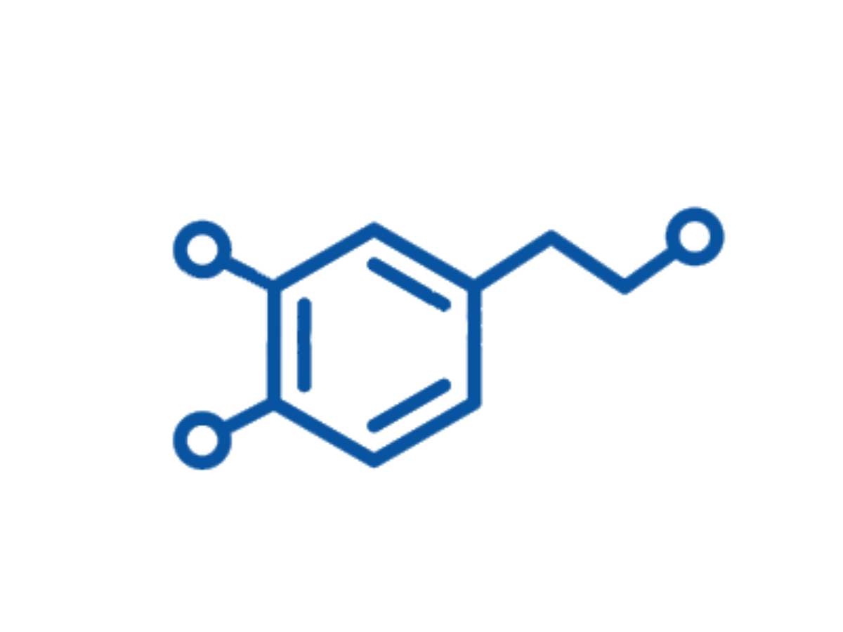 Calcitonin | Laboratory research Synevo