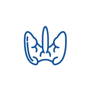 ანტისხეულები თირეოგლობულინის მიმართ (Anti TG)