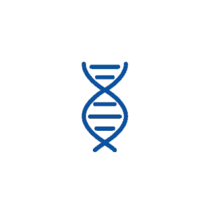 ტესტებიGenetic Tests 2