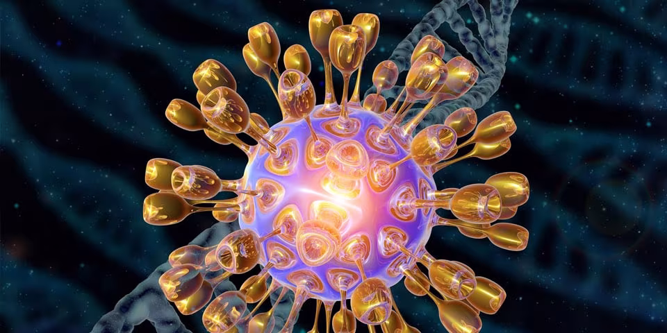 Herpes Virus Genetics 2