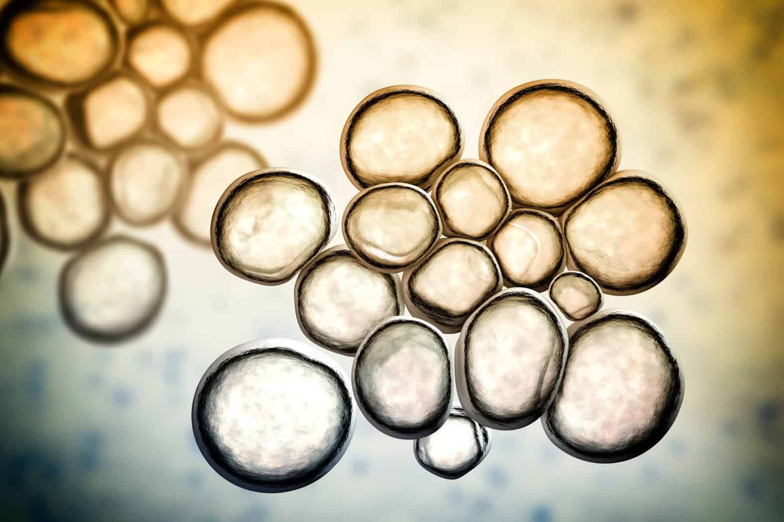 ურეაპლაზმა ურეაპლაზმა ურეალიტიკუმი | ის, რაც უნდა ვიცოდეთ