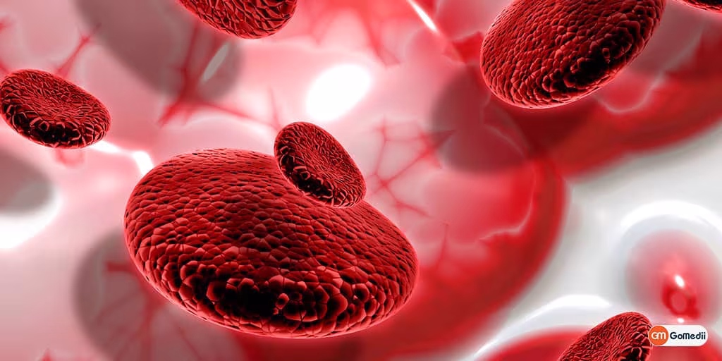 Thalassemia. თალასემია | ის, რაც უნდა ვიცოდეთ