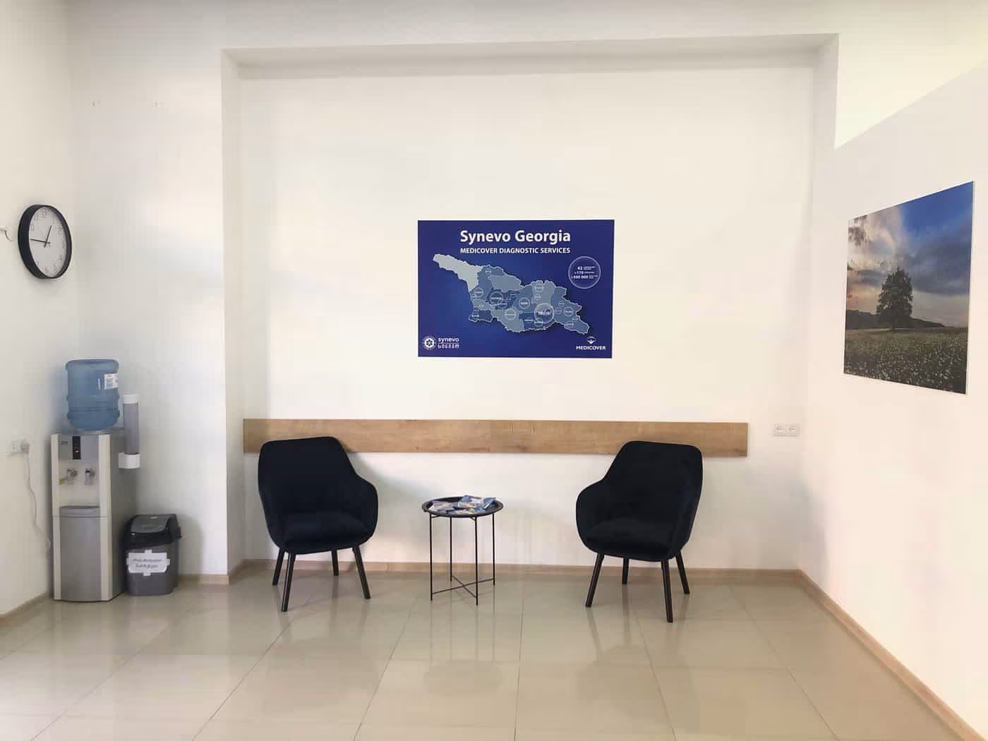 synevo laboratoriuli micro Mukhiani 4