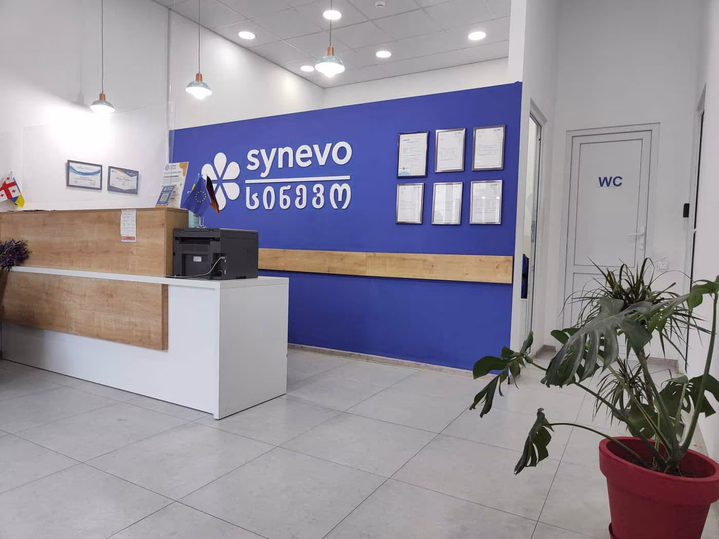 synevo laboratoriuli tsinandali 6 scaled