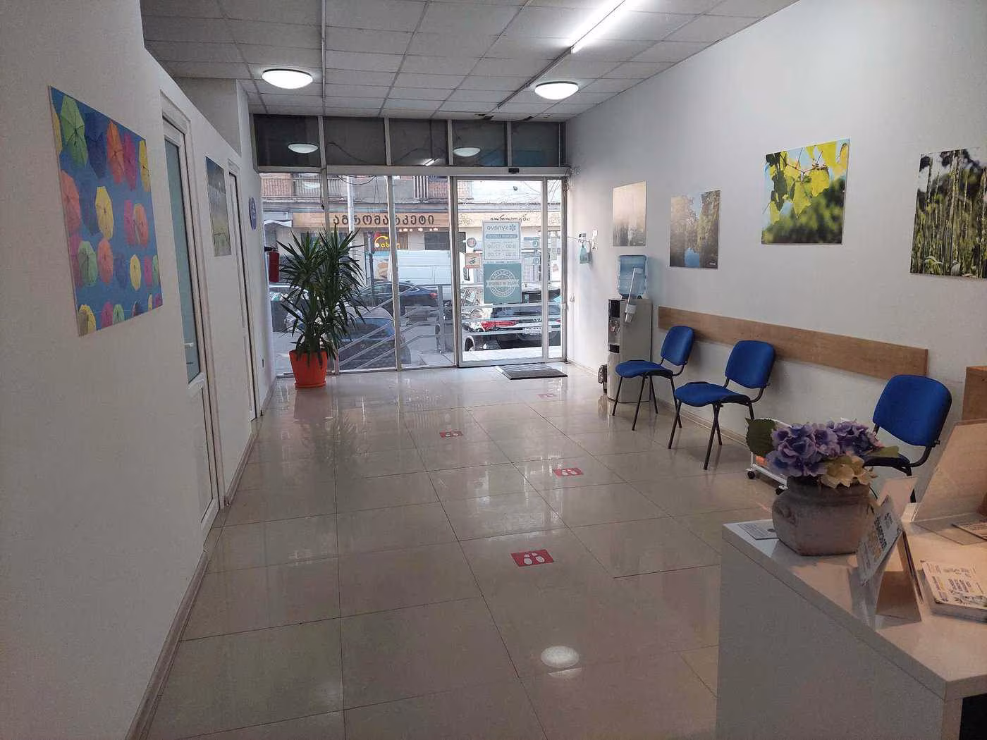 synevo laboratoriului dolidze 6
