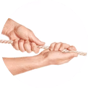 კარიერა სინევოში 3 enterprenour