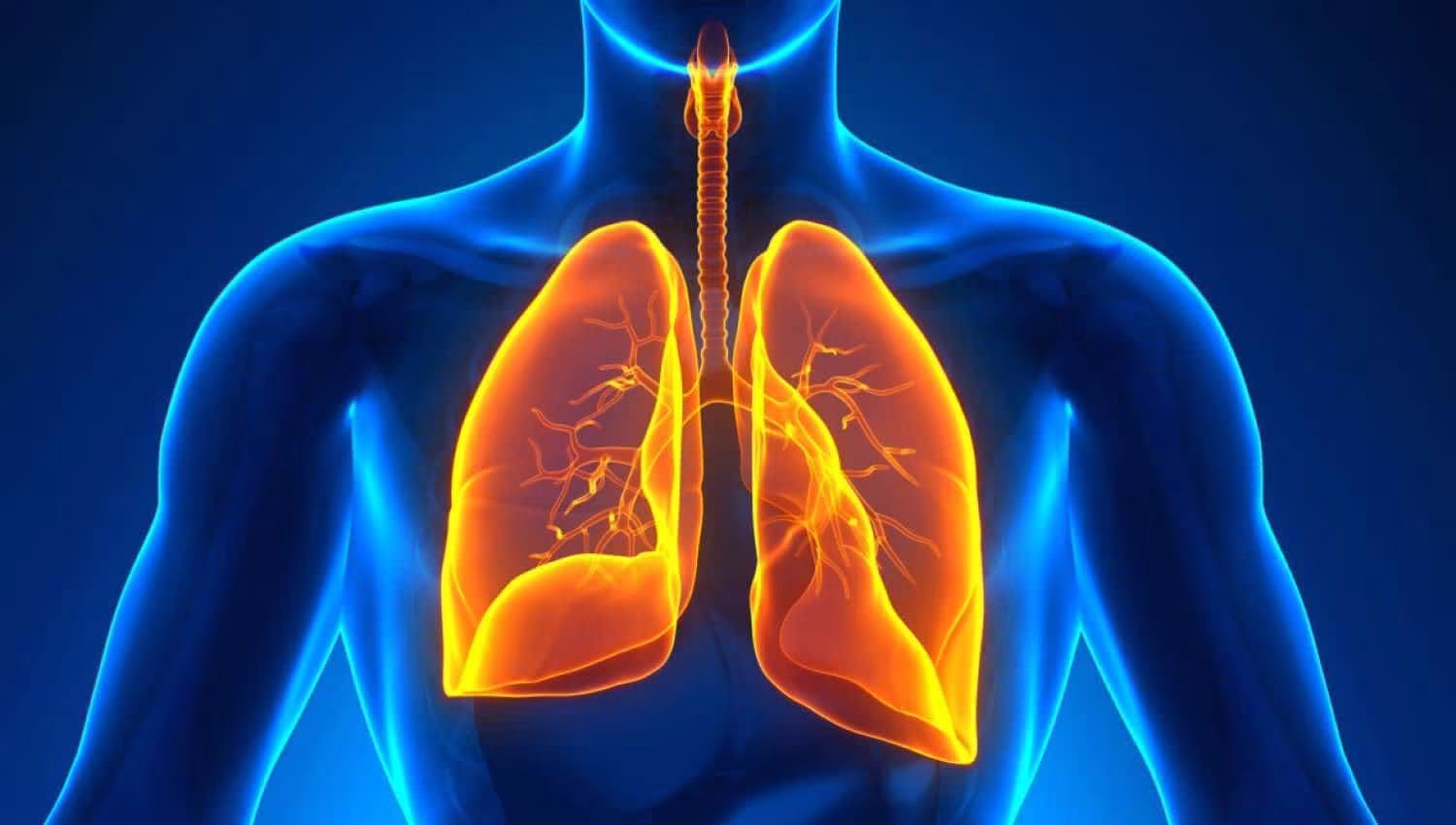 ASTHMA ბრონქული ასთმის და ალერგიული რინიტის გამწვავება ცივ სეზონზე | ის, რაც უნდა ვიცოდეთ