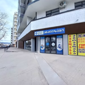 22. ვაზისუბნის მიმდებარე ტერიტორია: ზურაბ პატარიძის N3 11 111 scaled