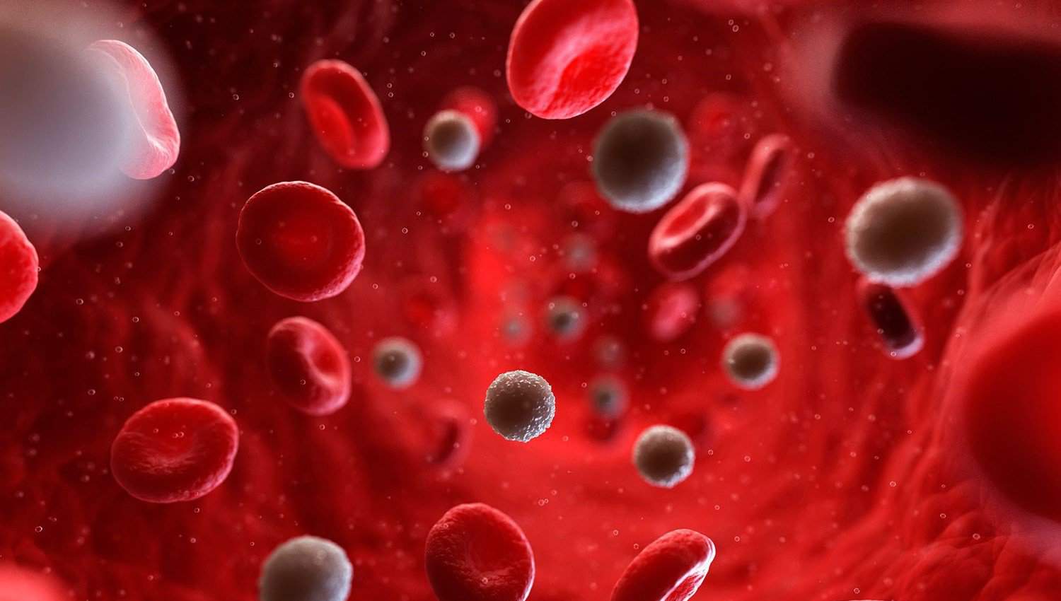 Blood-cells-58ac6c8c3df78c345b5a9182 ჰიპოქრომული ანემია | ის, რაც უნდა ვიცოდეთ