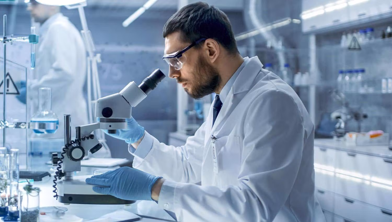 სისხლის კომპონენტები და მათი ფუნქციები | ის, რაც უნდა ვიცოდეთ