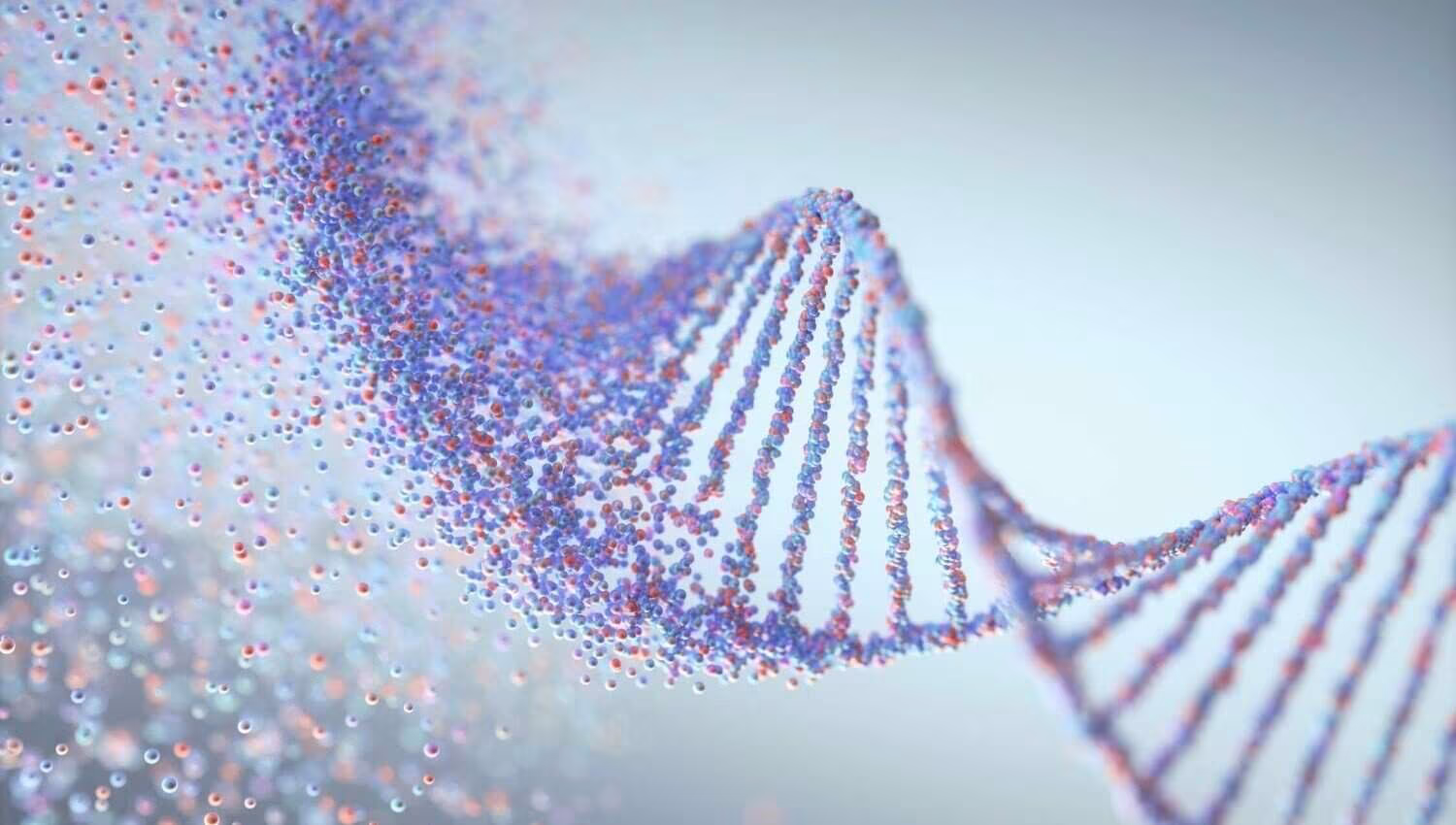 geneticdisorder-a8c6bbebbce745cd97048df80dcd7eb7 პომპეს დაავადება (გლიკოგენის დაგროვების დაავადება - ტიპი 2) | ის, რაც უნდა ვიცოდეთ