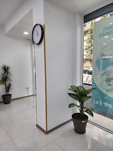 15. ადამ მიცკევიჩის ქუჩა N10 24 ChIJ07DB3OFzREAREzkb6FQ3680