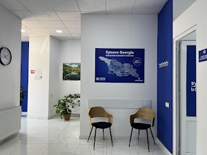 28. ჭიათურა: ნინოშვილის ქუჩა N17 35 ChIJ8cOkNF2hXEARbmV66MIj2P0