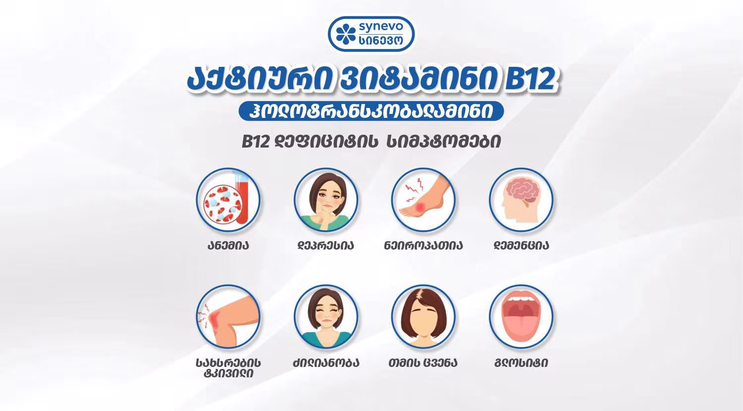 b12 s