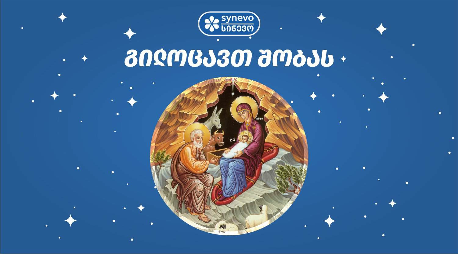 სიახლეები და აქციები 255 shoba s