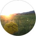 Lia Shariashvili profile picture