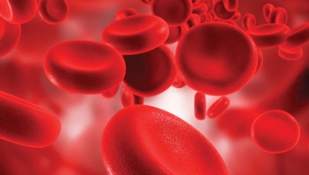 ClinicalHematology 39 2