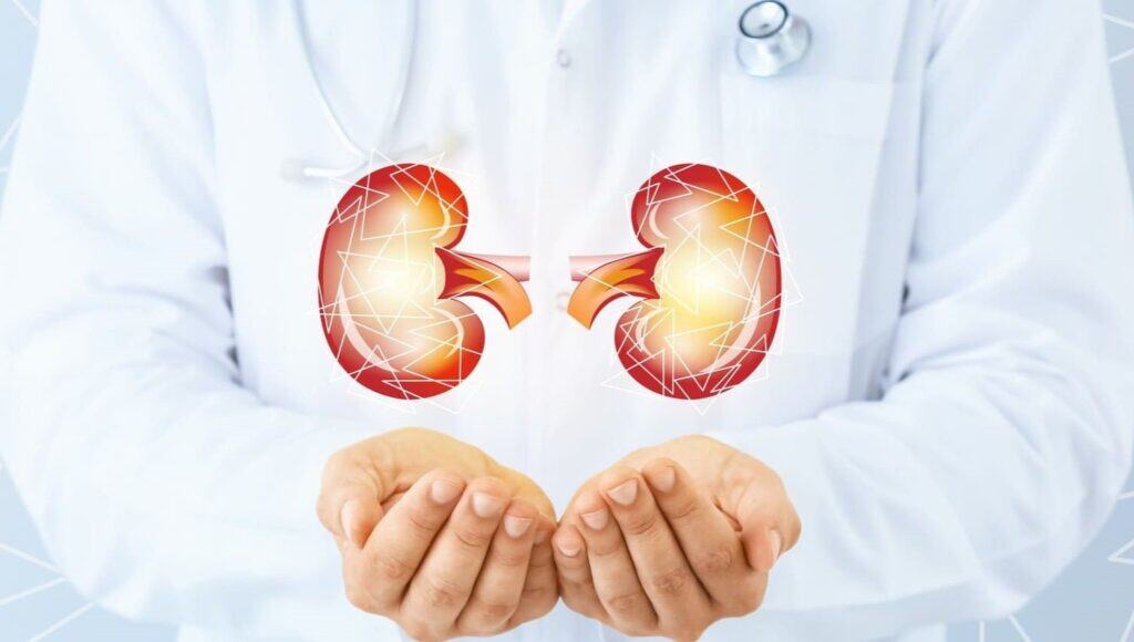 kidney profile