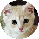 Jill Haust profile picture