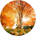 39. სოფელი ნატახტარი 27 ნანა ქოჩორაშვილი profile picture