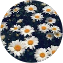 35. საგარეჯო: დავით აღმაშენებლის ქუჩა N39 27 Likuna Otiashvili profile picture