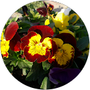 38. სოფელი ნატახტარი 27 xatuna maxaradze profile picture